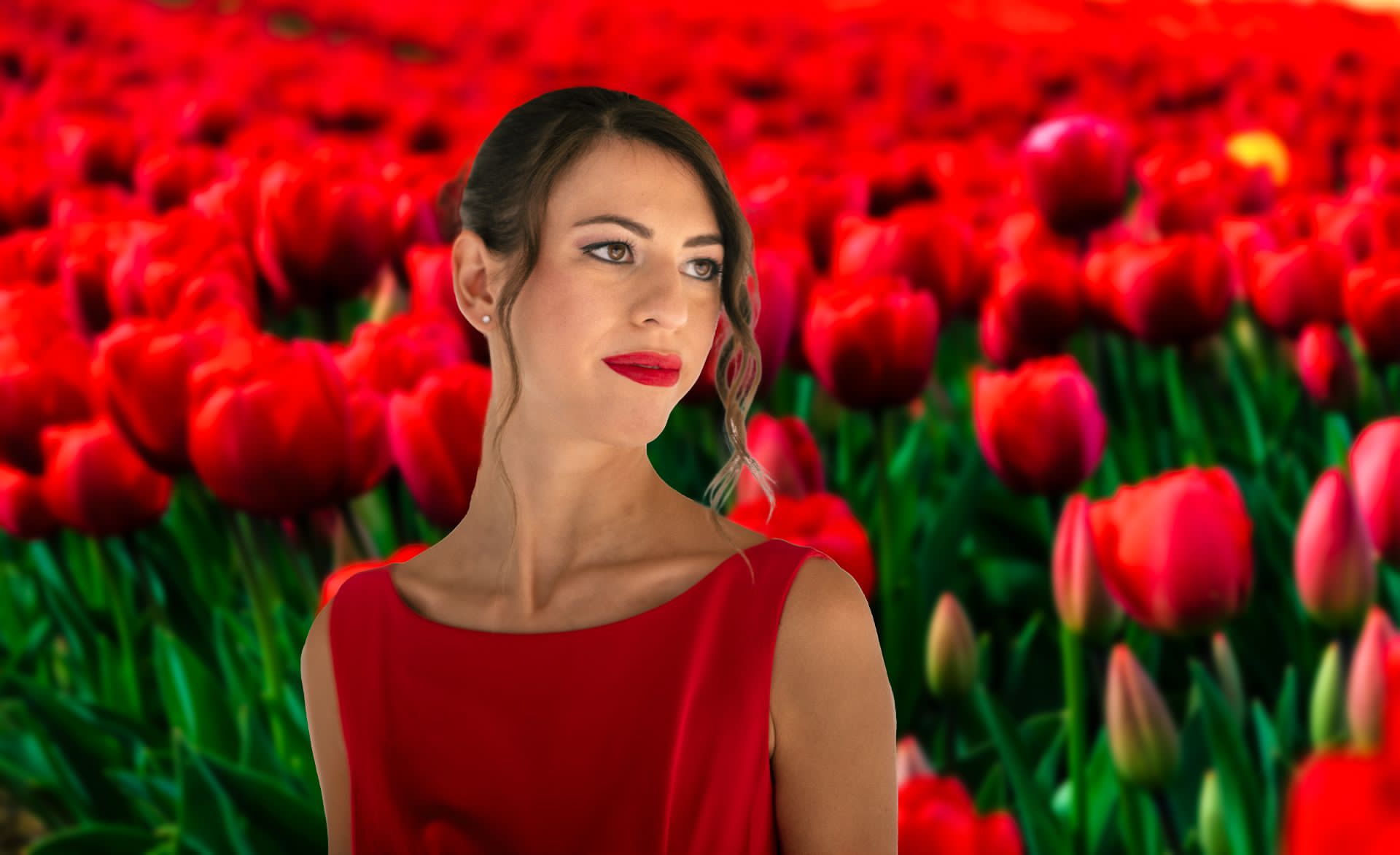 Aury and Tulips