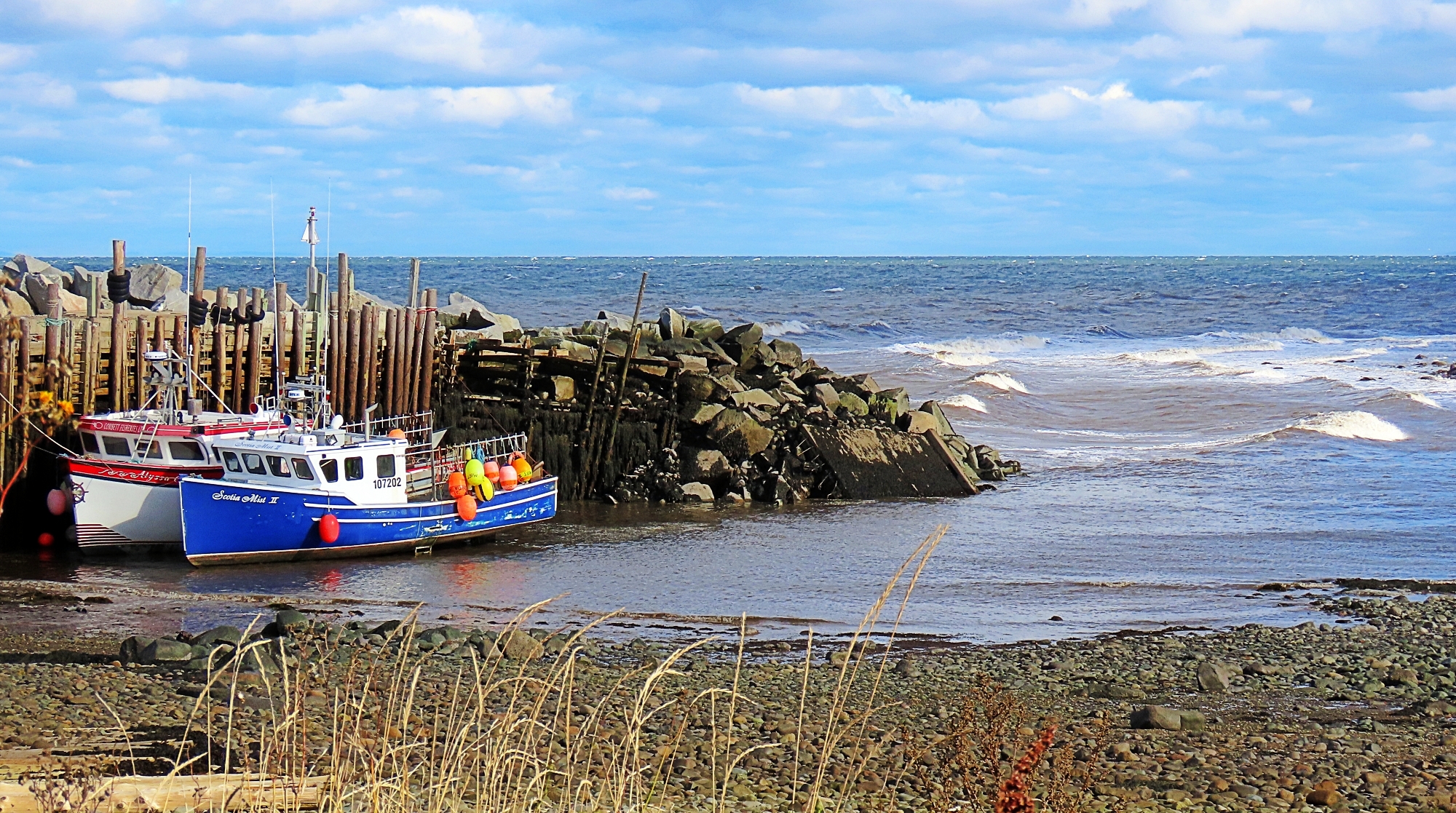 Somewhere on The Fundy