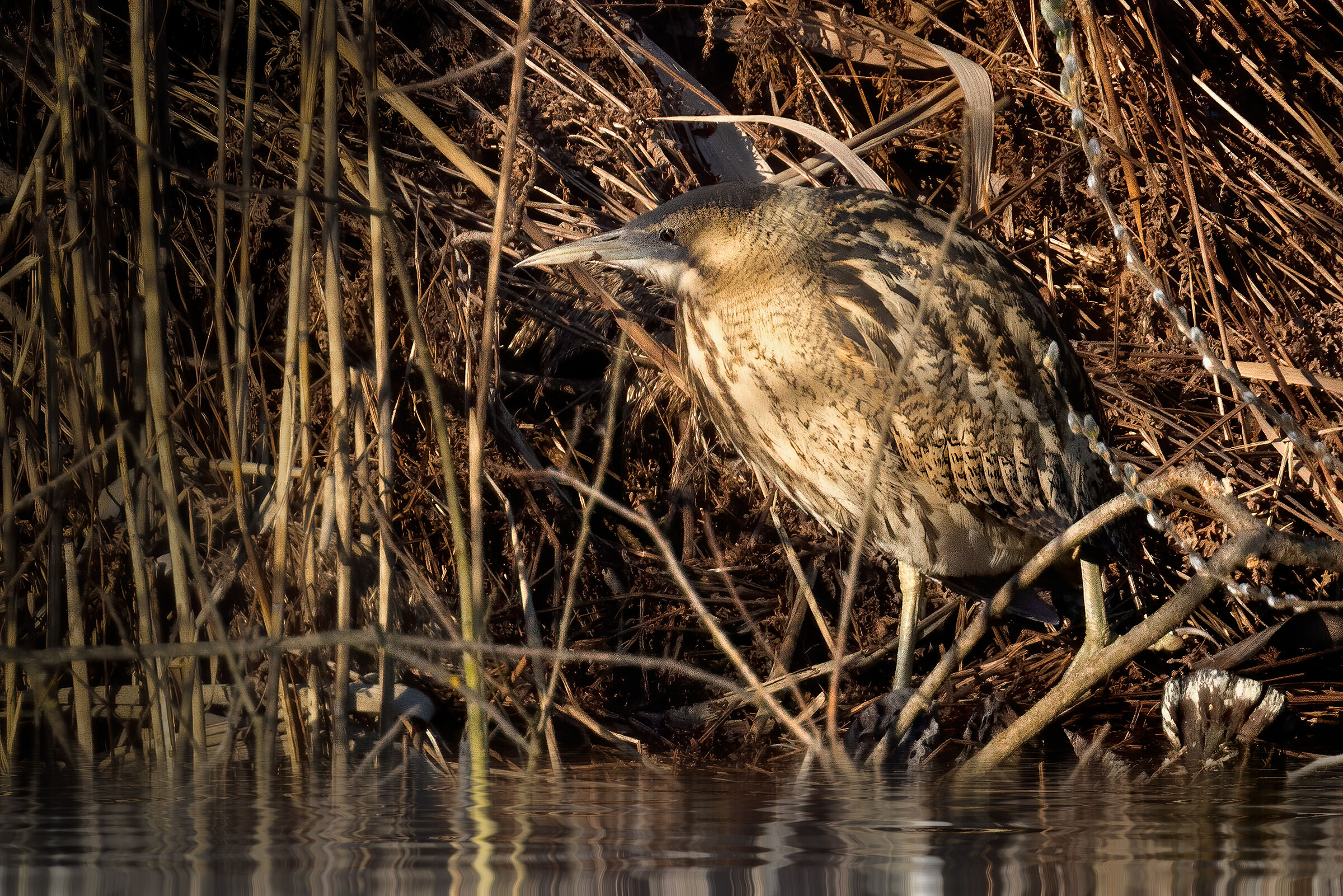 Incontri nel Parco del Mincio (mn)