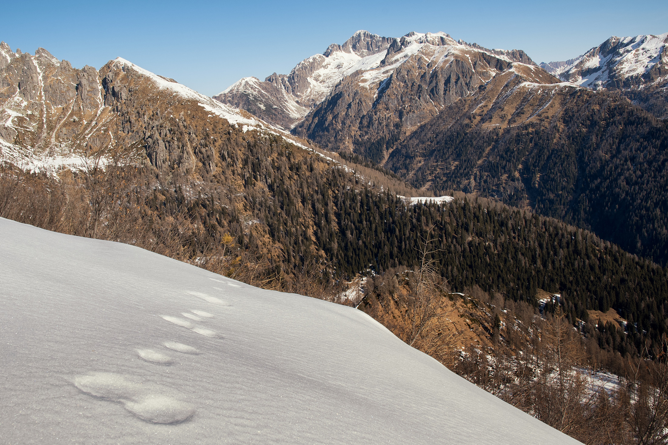 Sulle orme della lepre