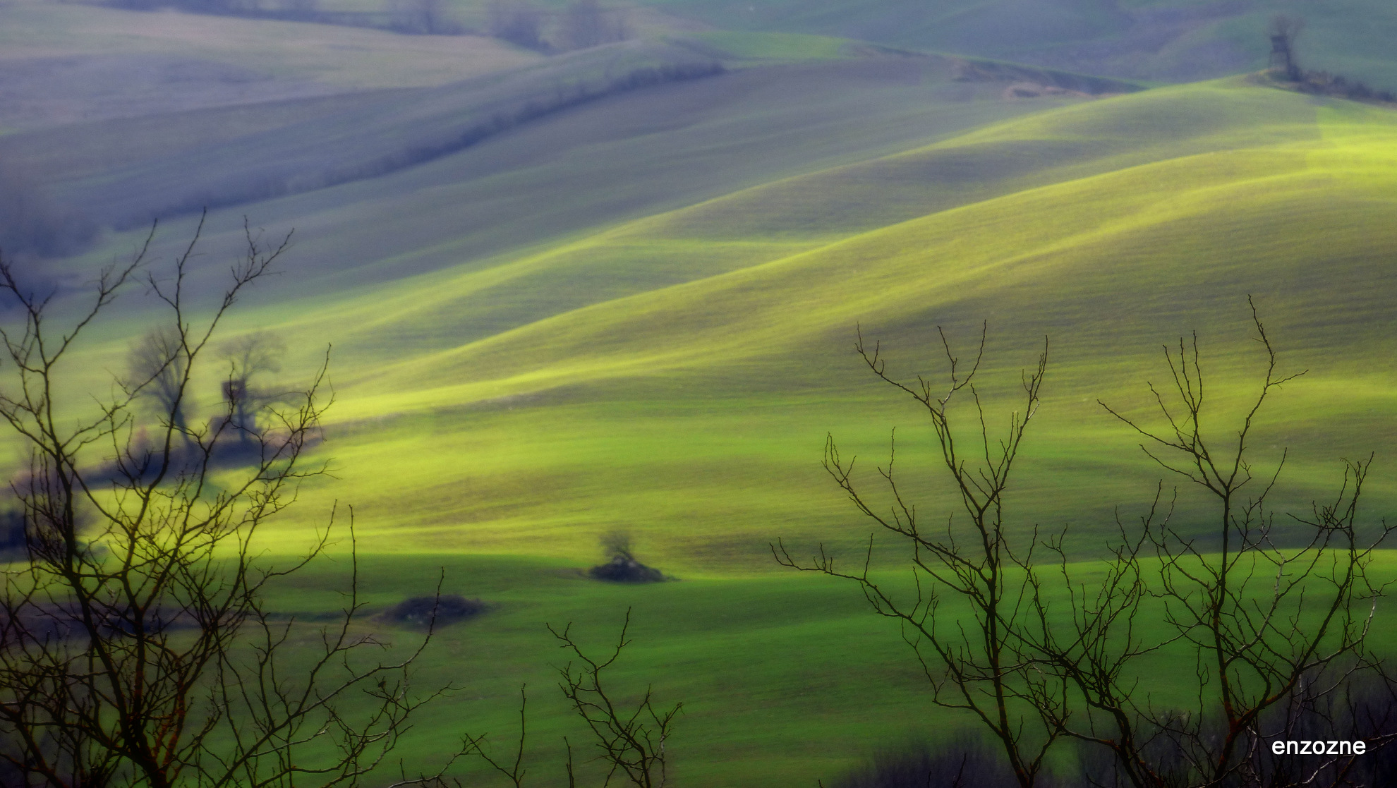 luci e ombre