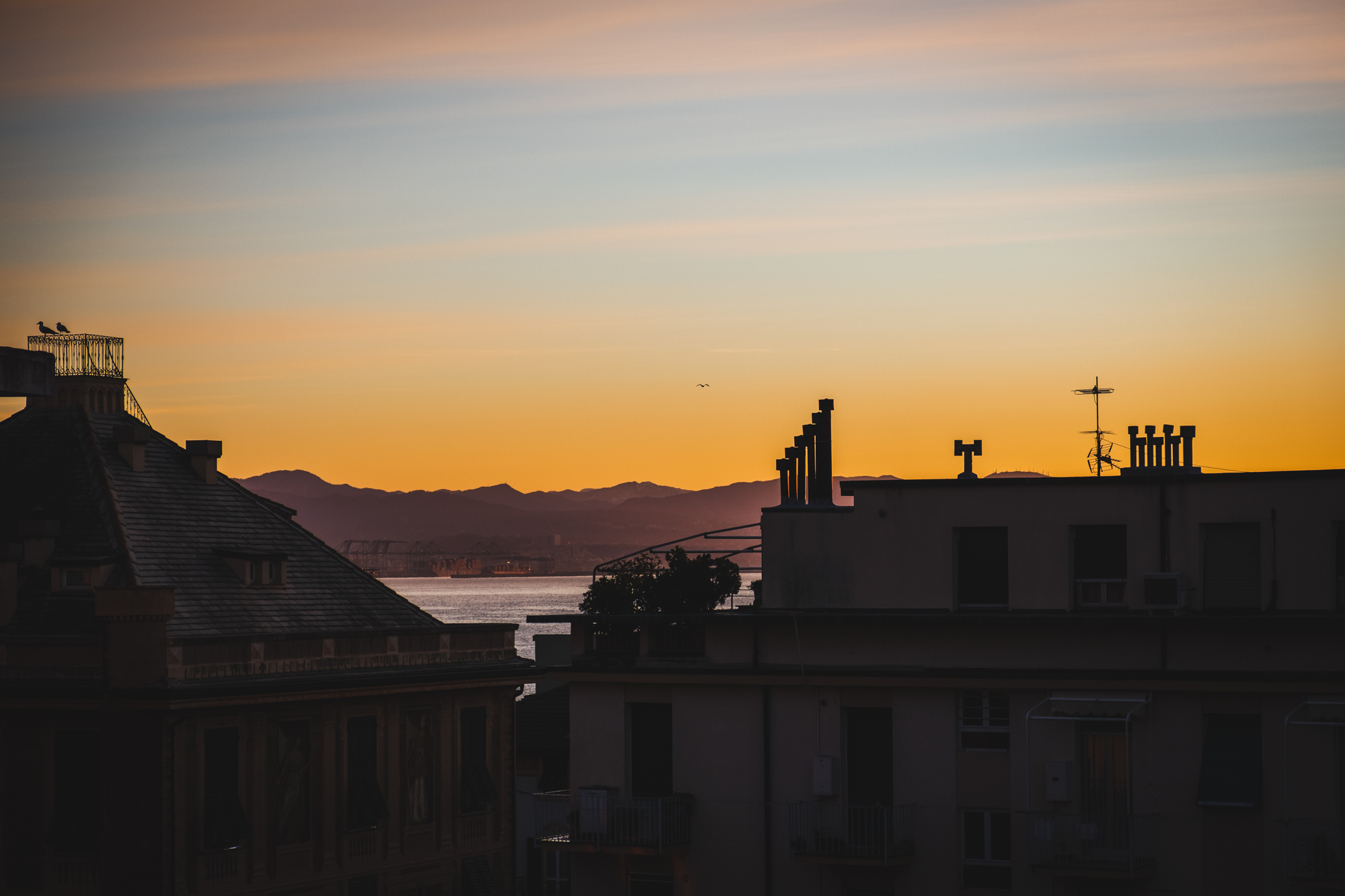 Sunrise over Genoa