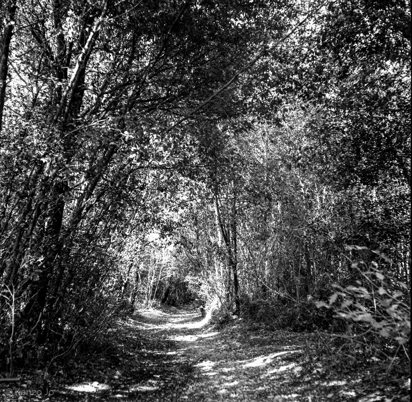 In the middle of the walk