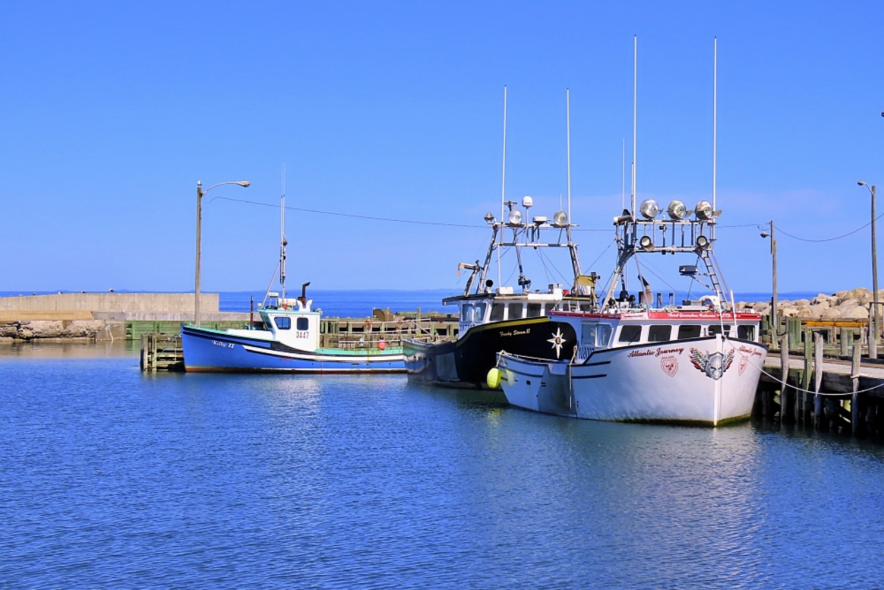 More along the Fundy
