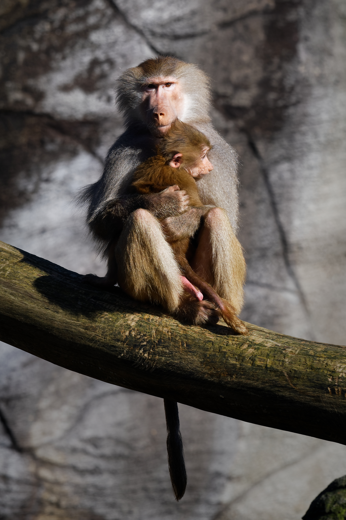 "I' ll take care of you"