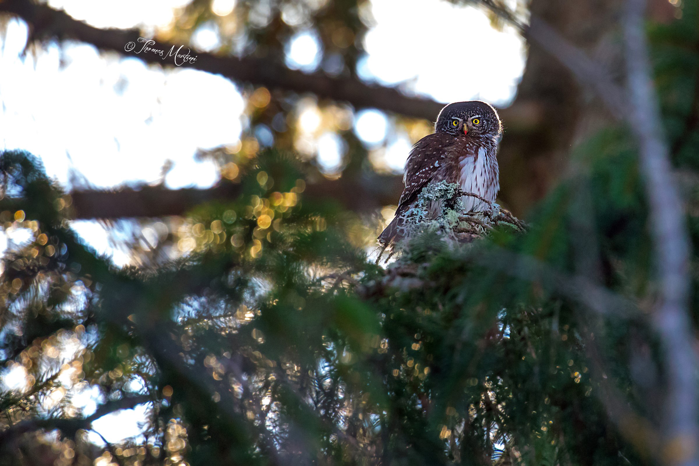 La Nana col rossetto