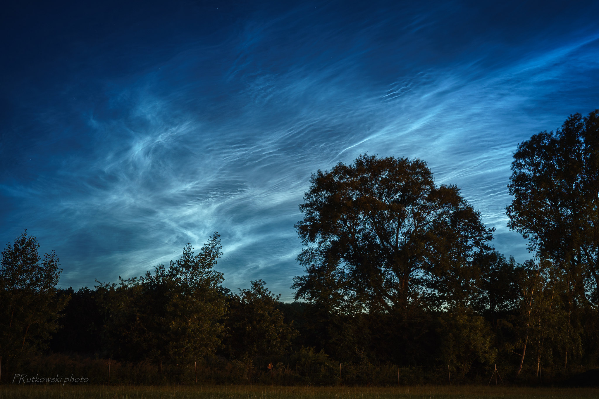 Tree and sky.