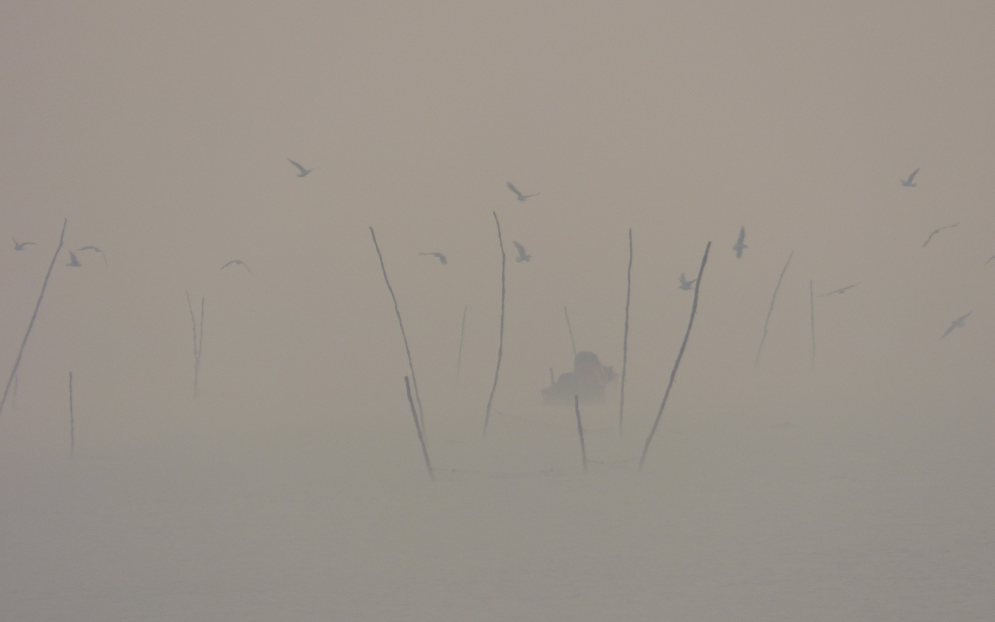 Even In The Quietest Moments