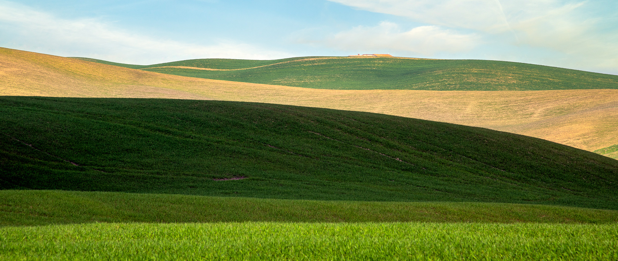 Crete senesi