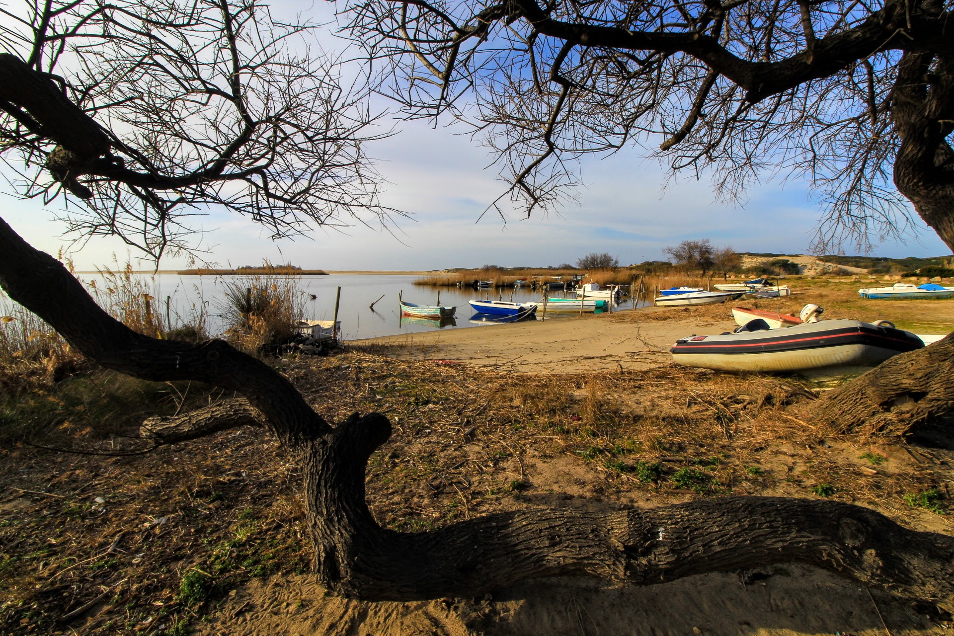 All'ombra dei tamerici