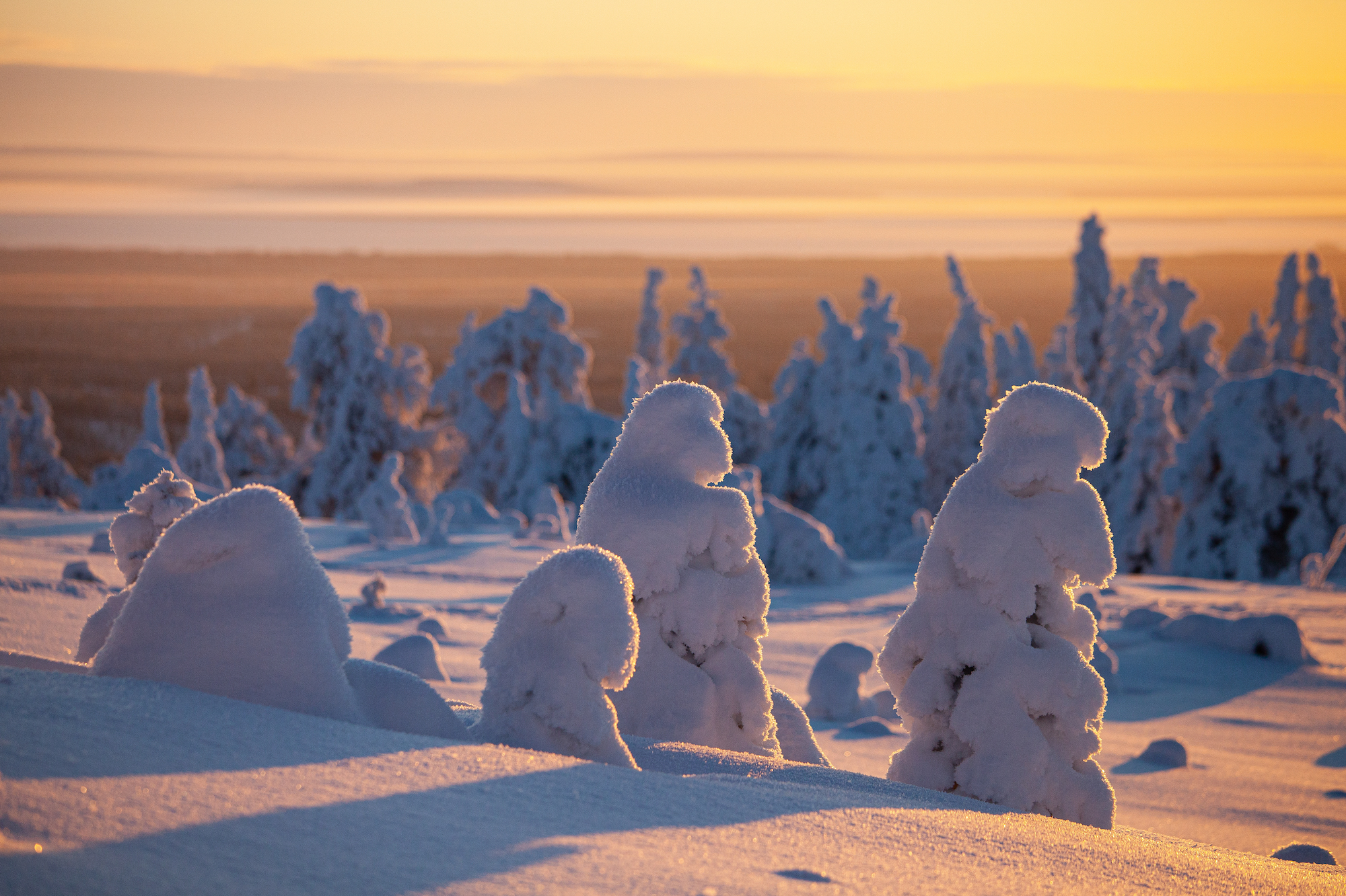 Ritratto di famiglia