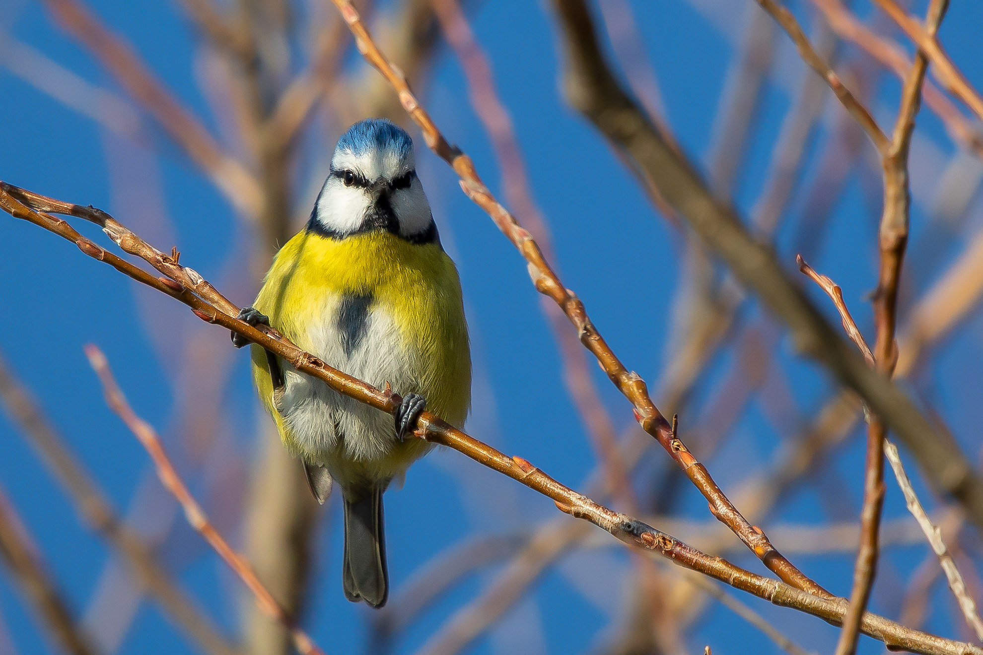 E allora ? che guardi ?