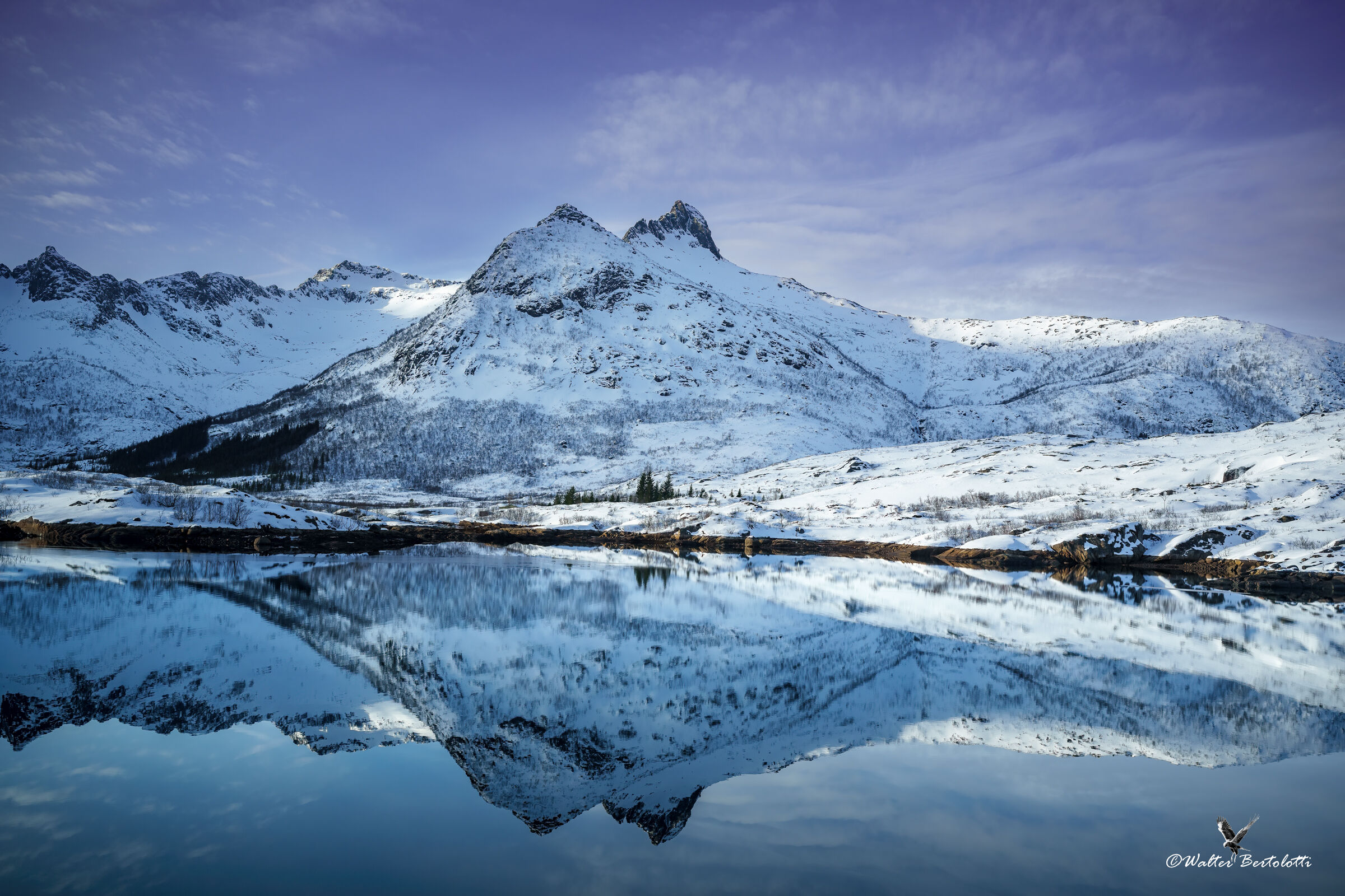 tranquillità specchiata