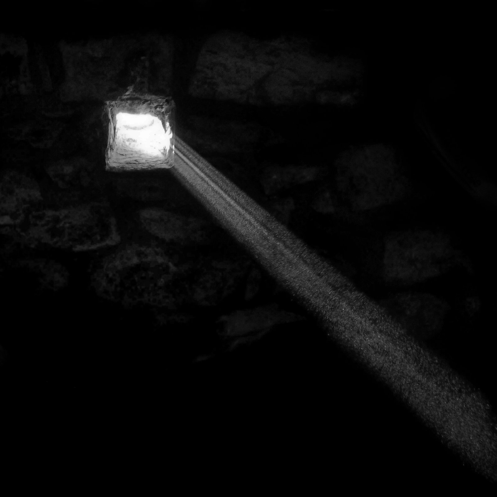 Cellar