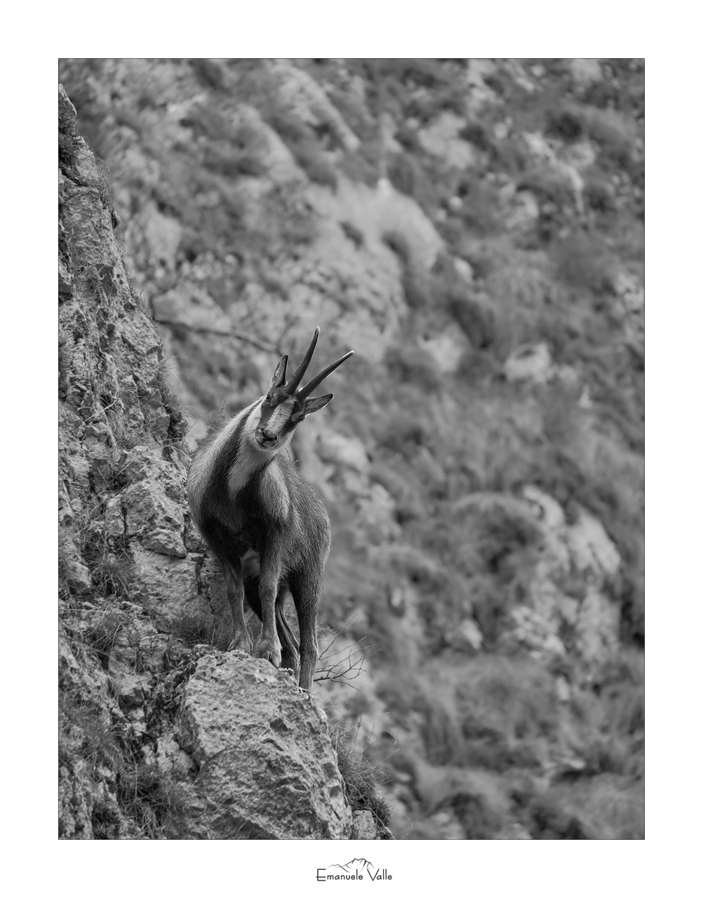 Se mi guardi cosi, arrossisco..