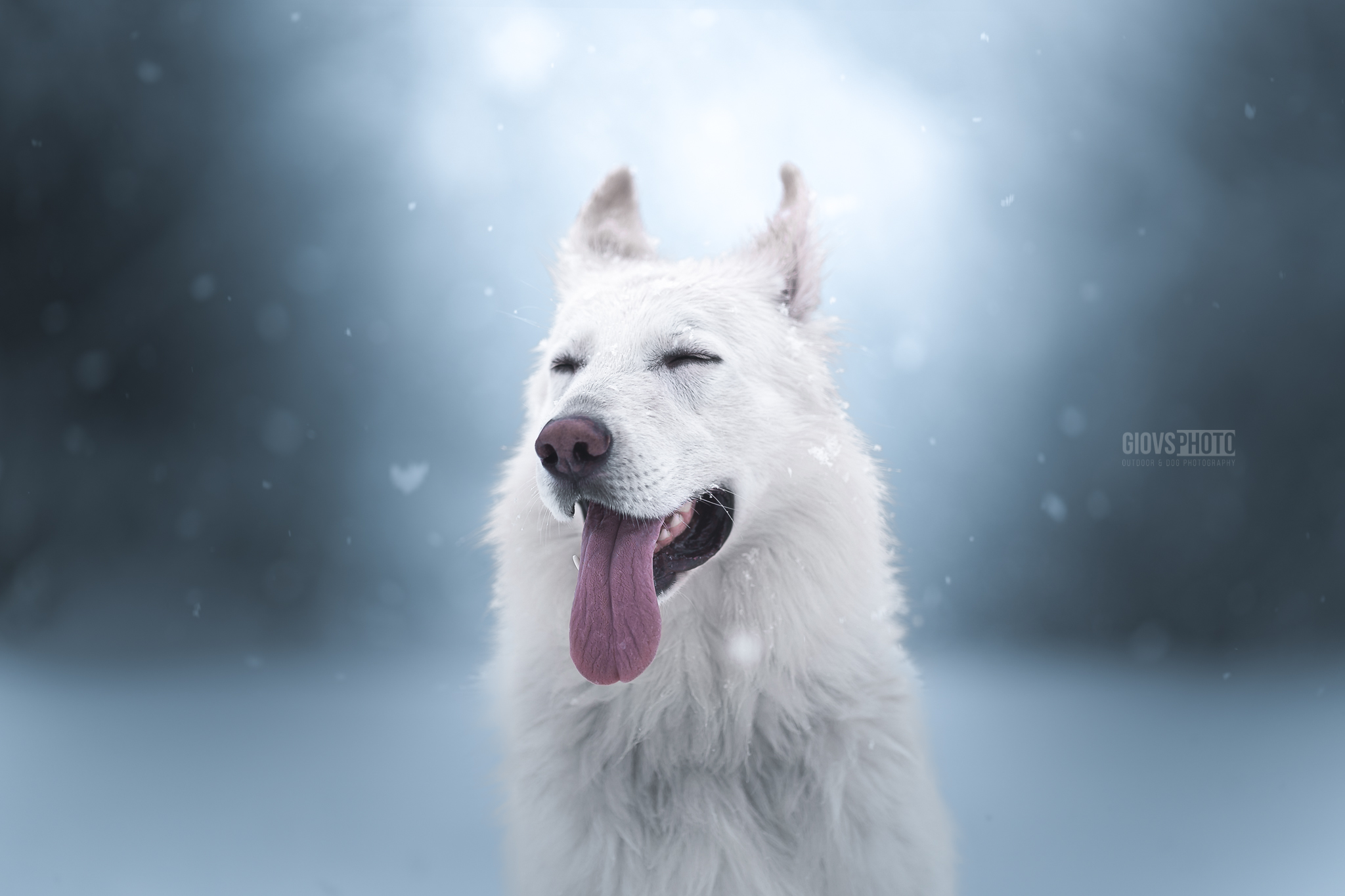 Snowy happiness