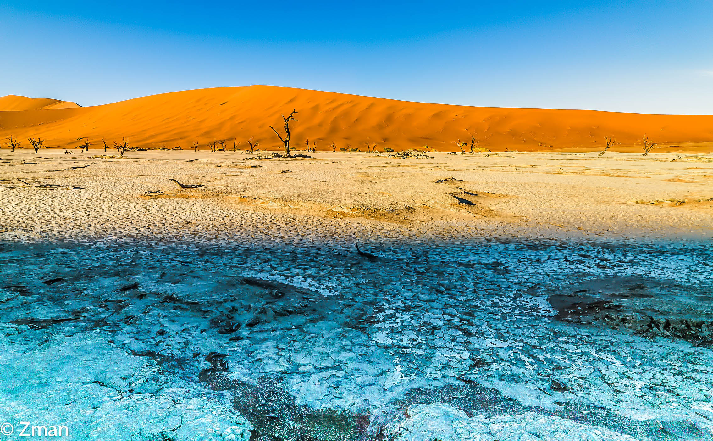 Deadflei Alberi di acacia morti