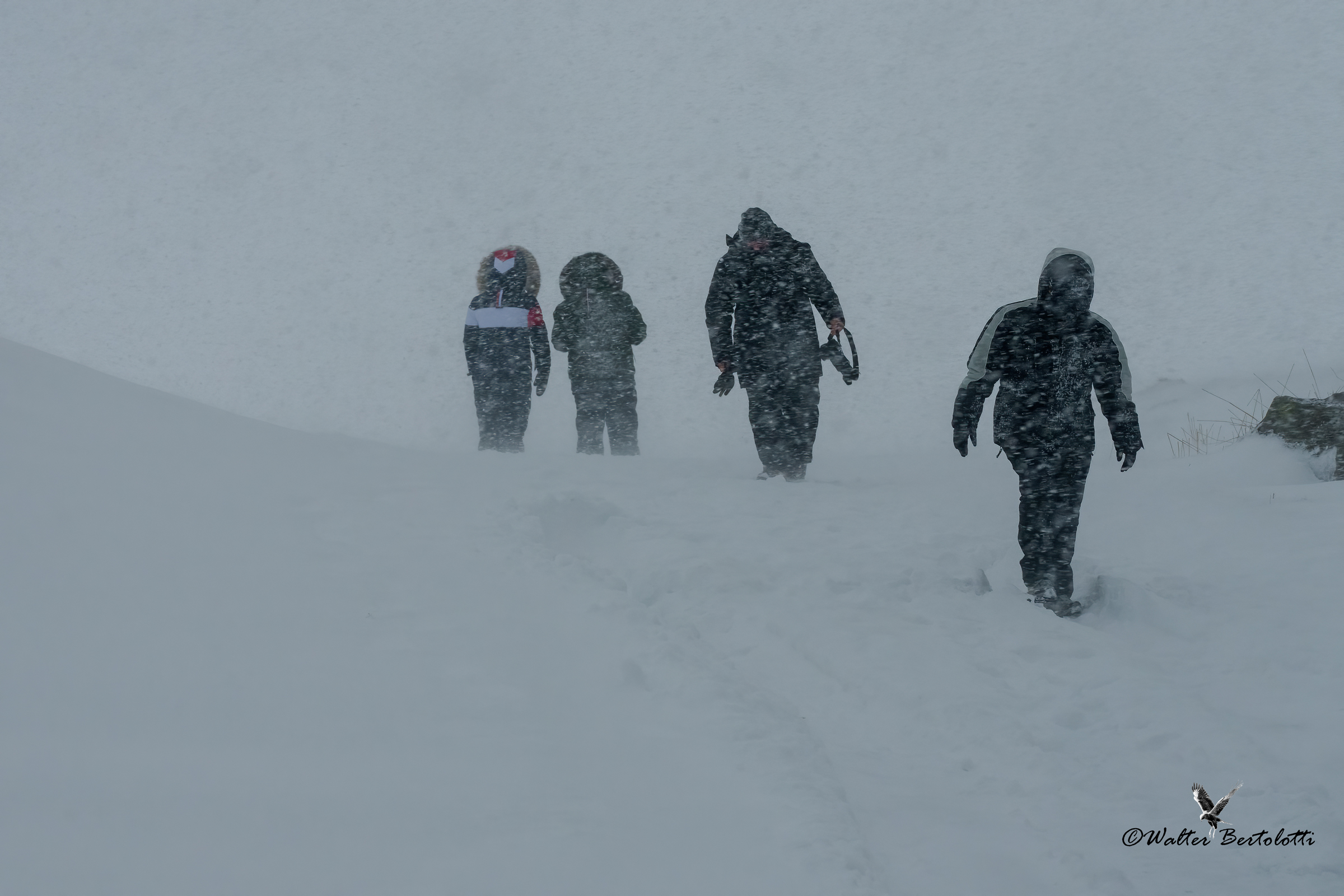 fotografi nella tormenta
