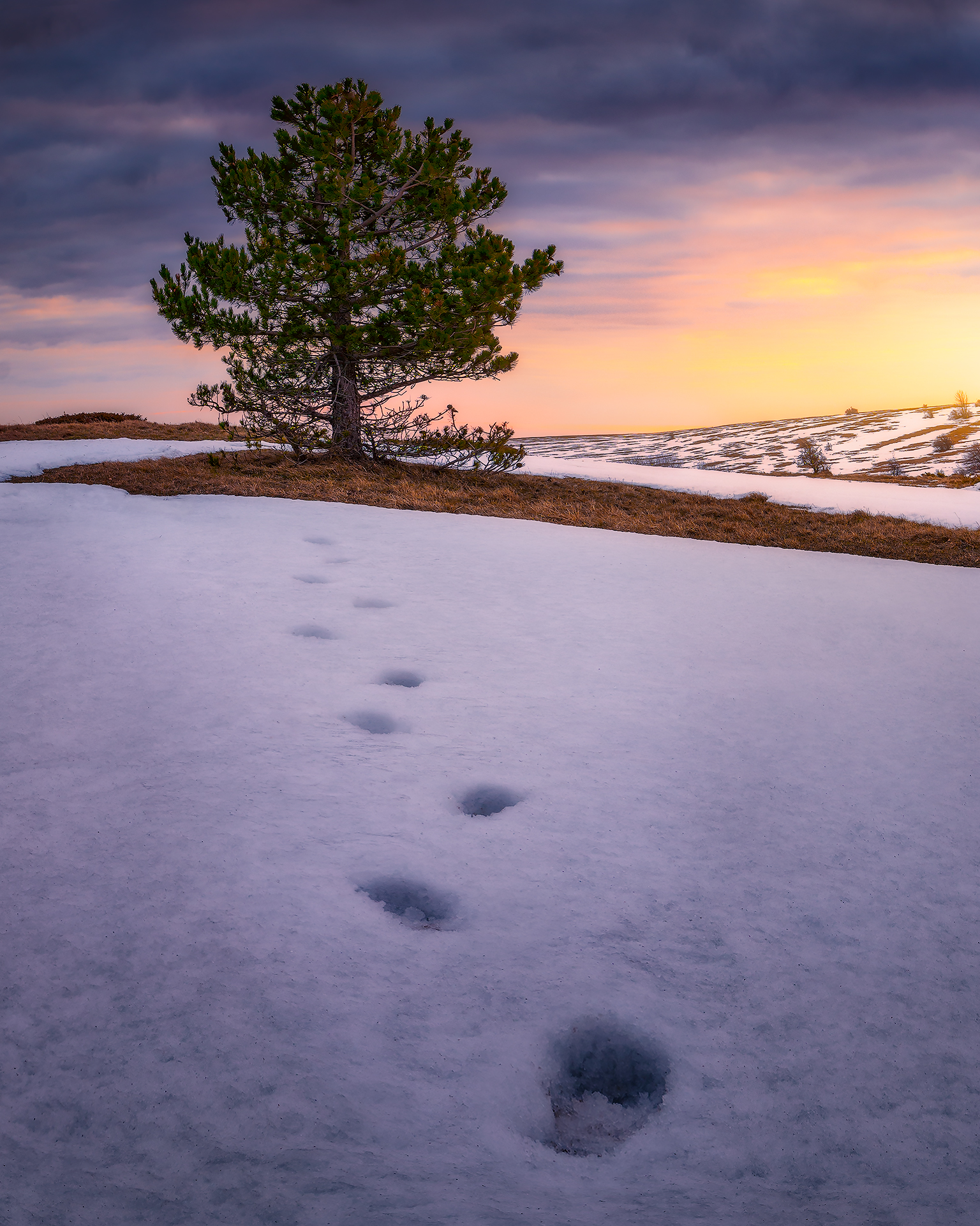 Piani di ragnolo; marche