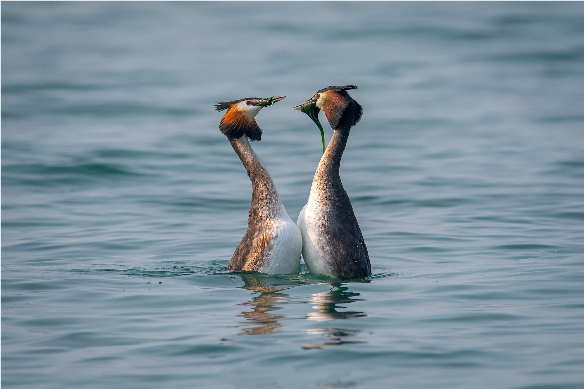 The exchange of the gift