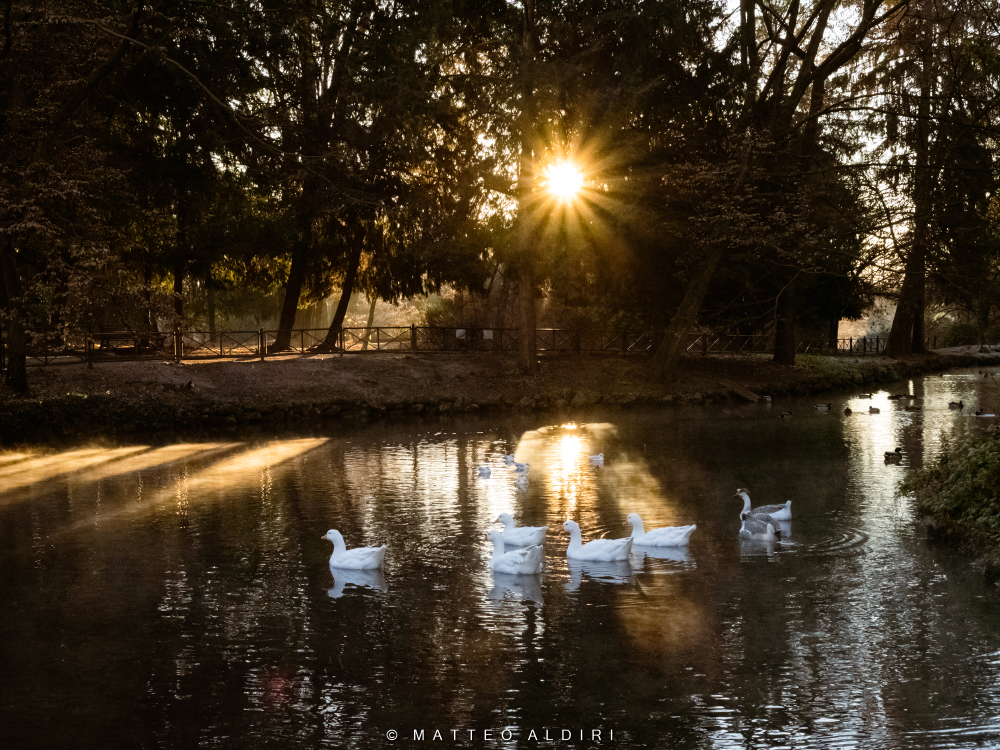 Untitled Photo