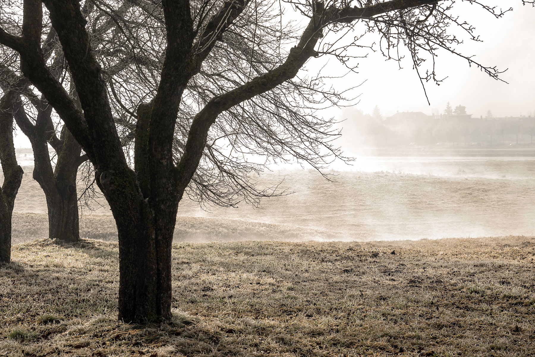 Quando il terreno si risveglia