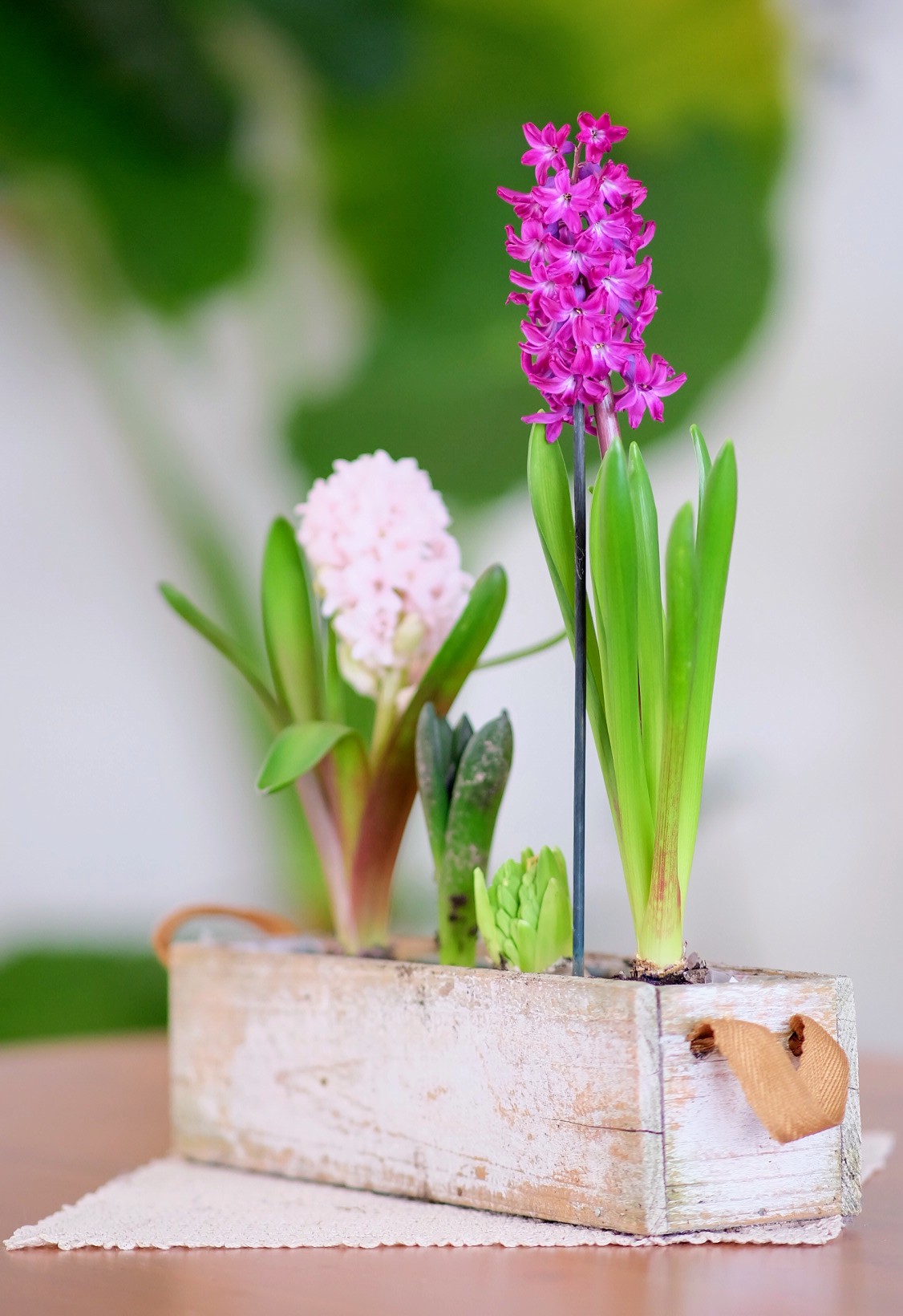 Un alto e un basso ...