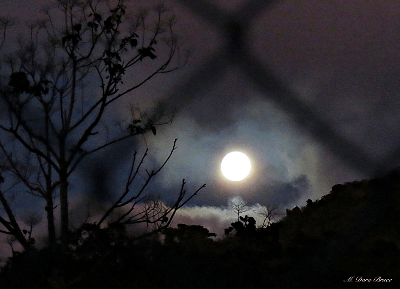 The Other Side of Nowhere