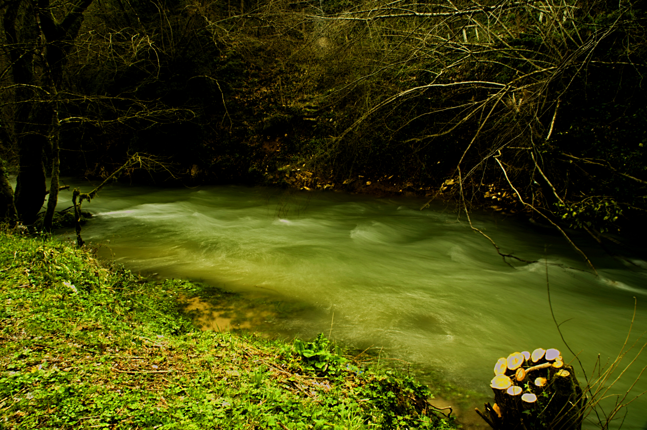 Radura prima dell'immissione