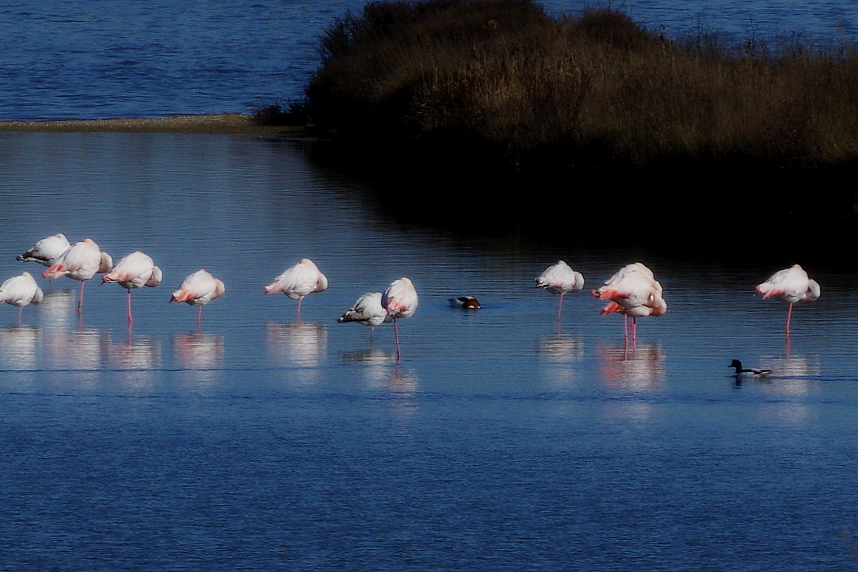 Passeggiando sul Delta