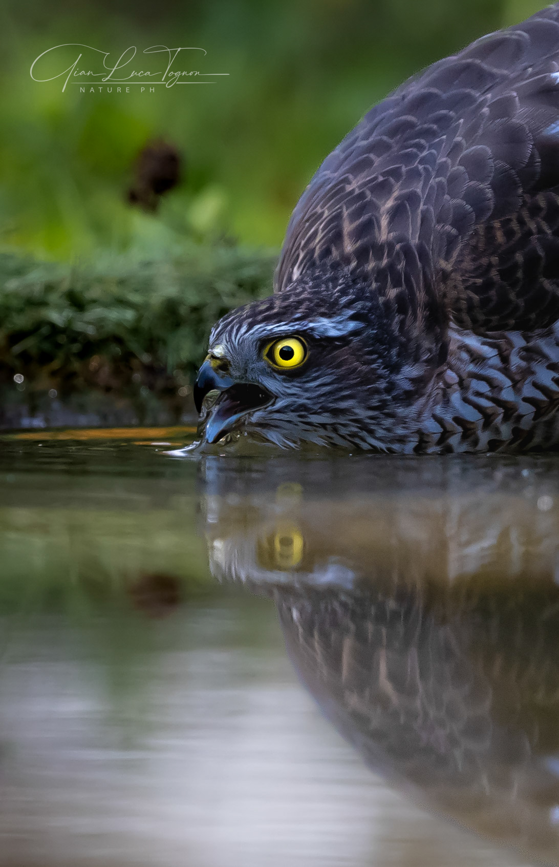 Eyes are thirsty