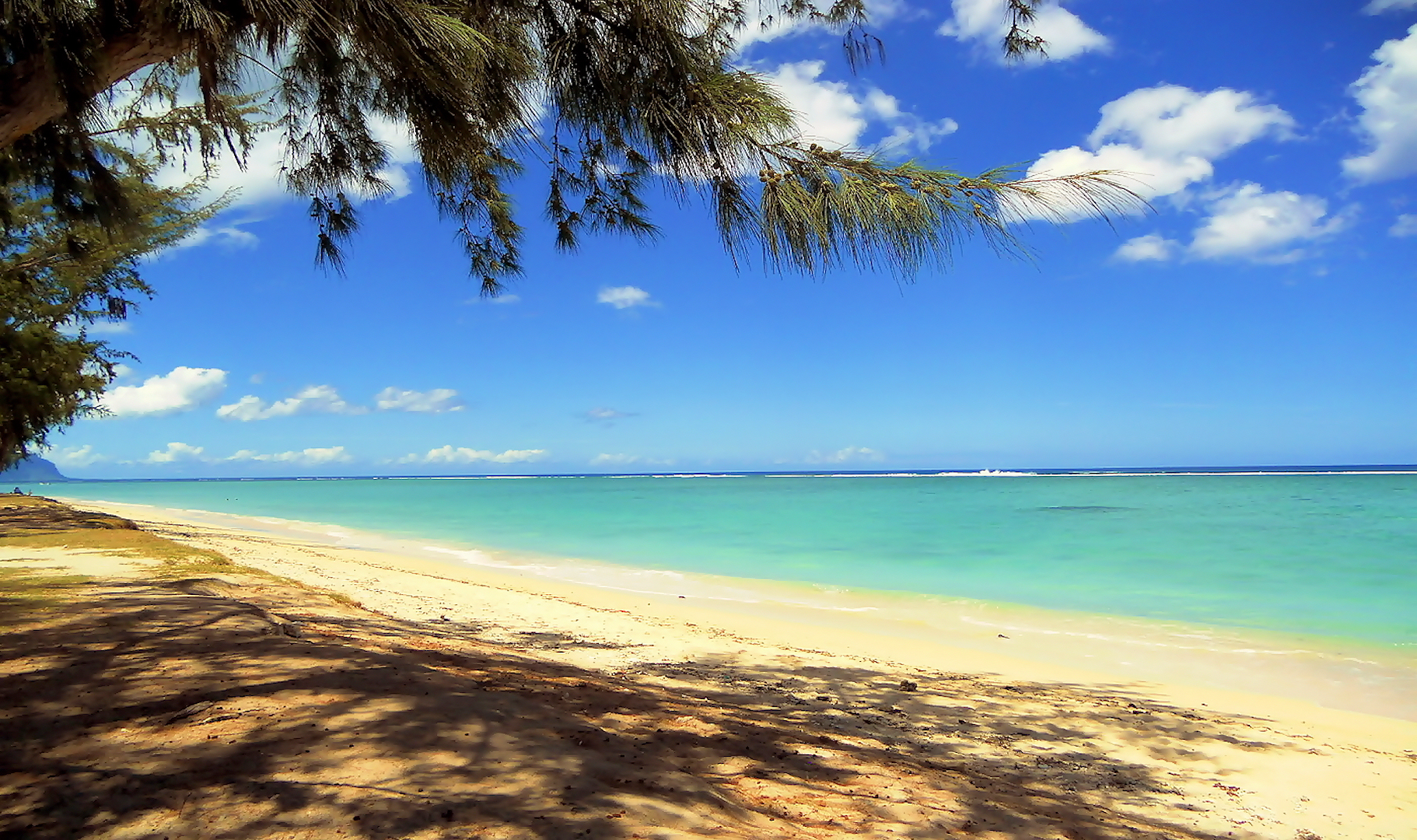 Mauritius spiaggia e mare