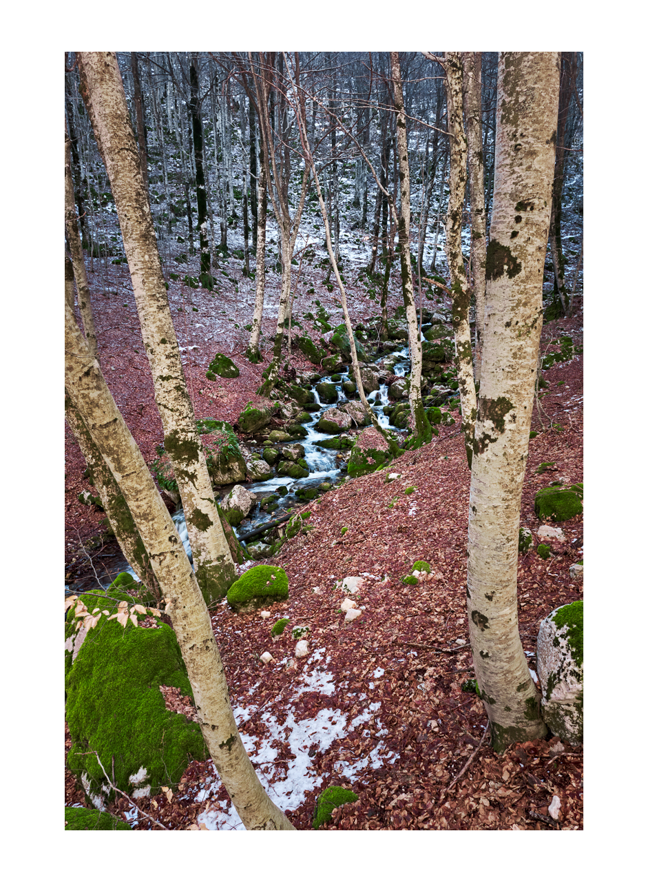 sorgenti del Rio Torto