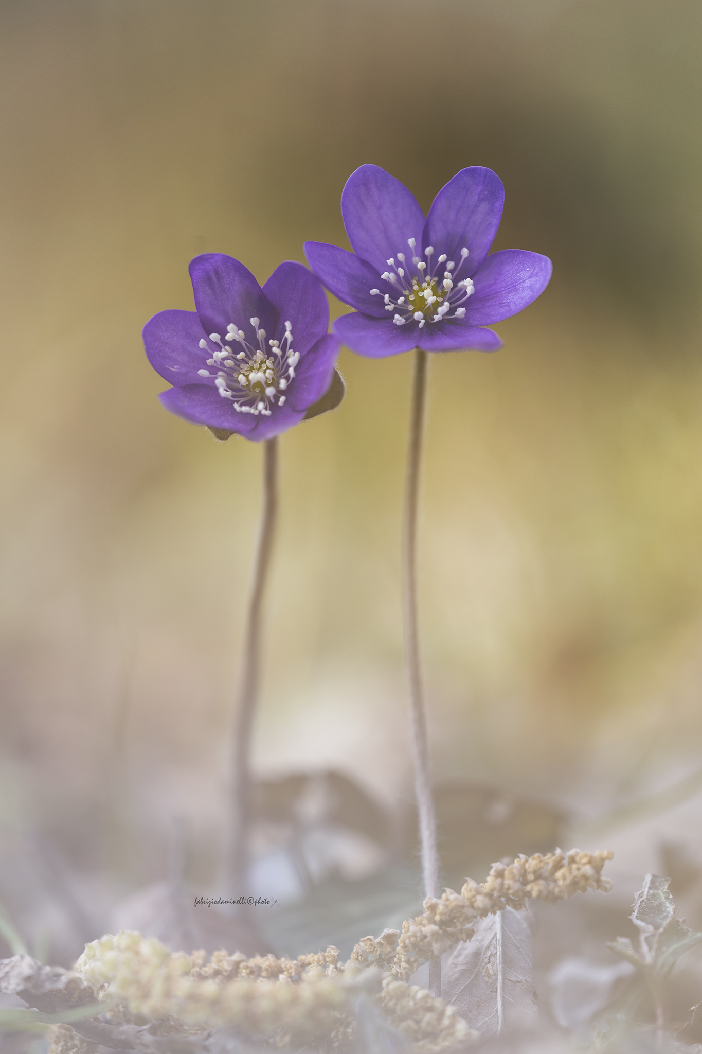 you and me, together forever...