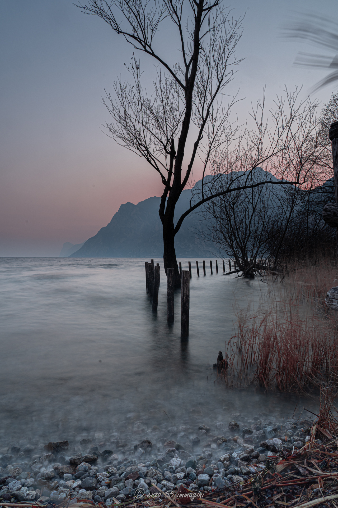 at the mouth of the Sarca