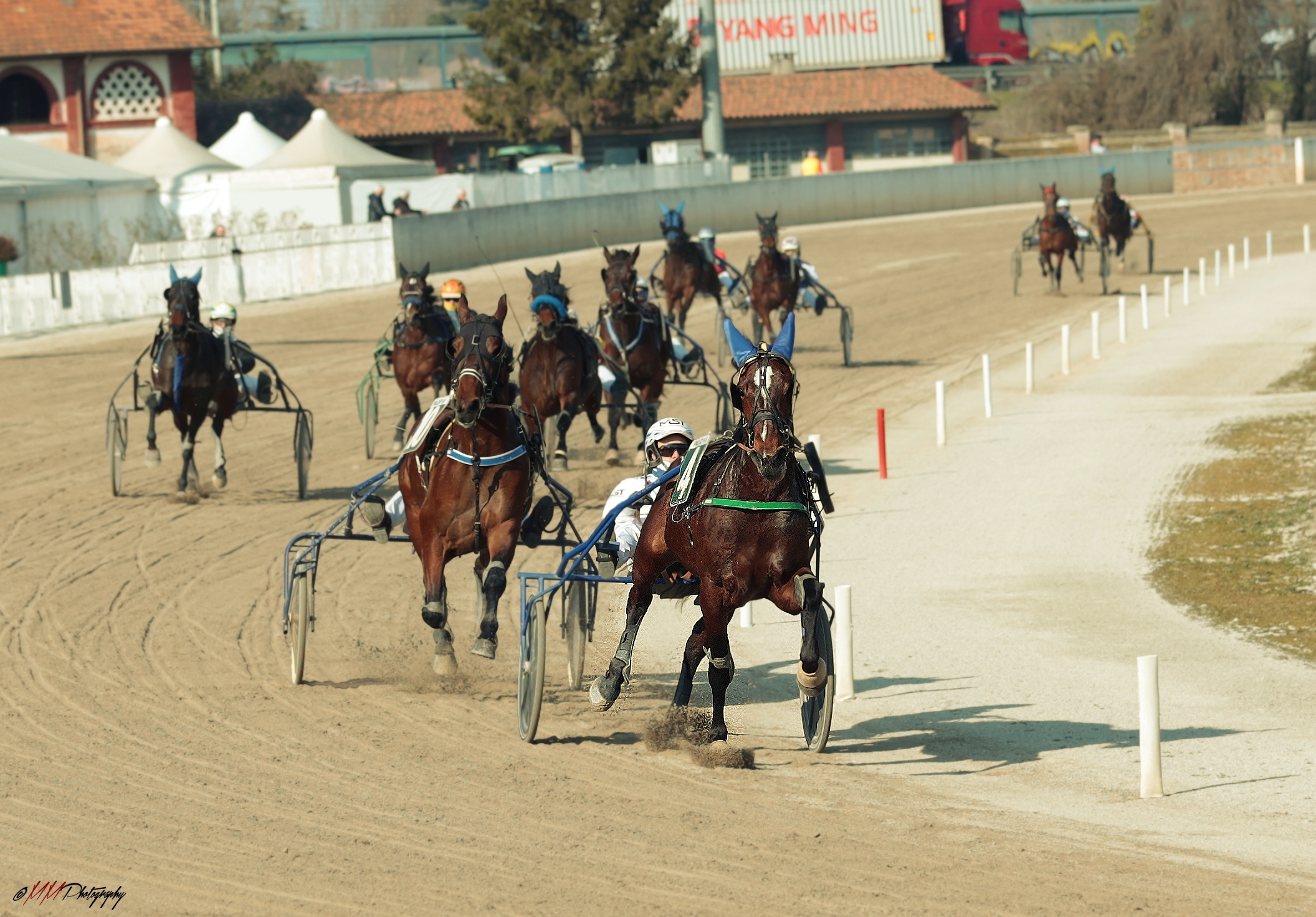 un giorno all'Ippodromo