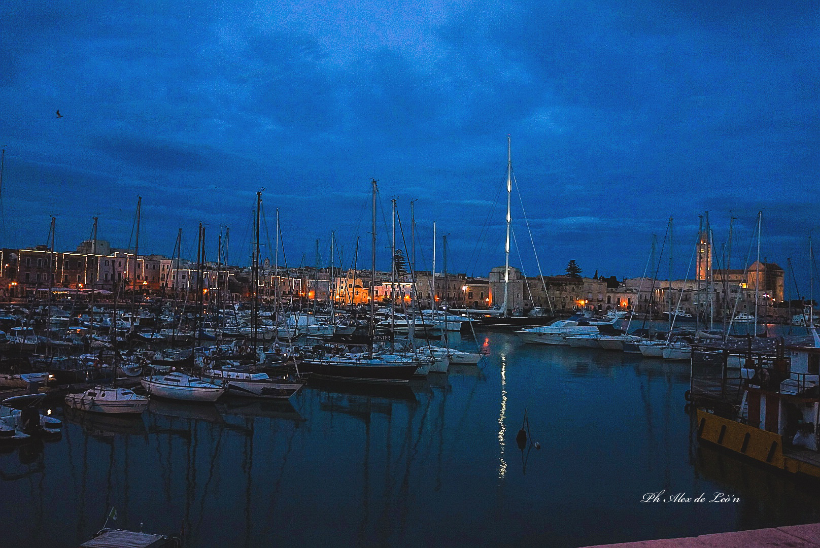 Trani il porto