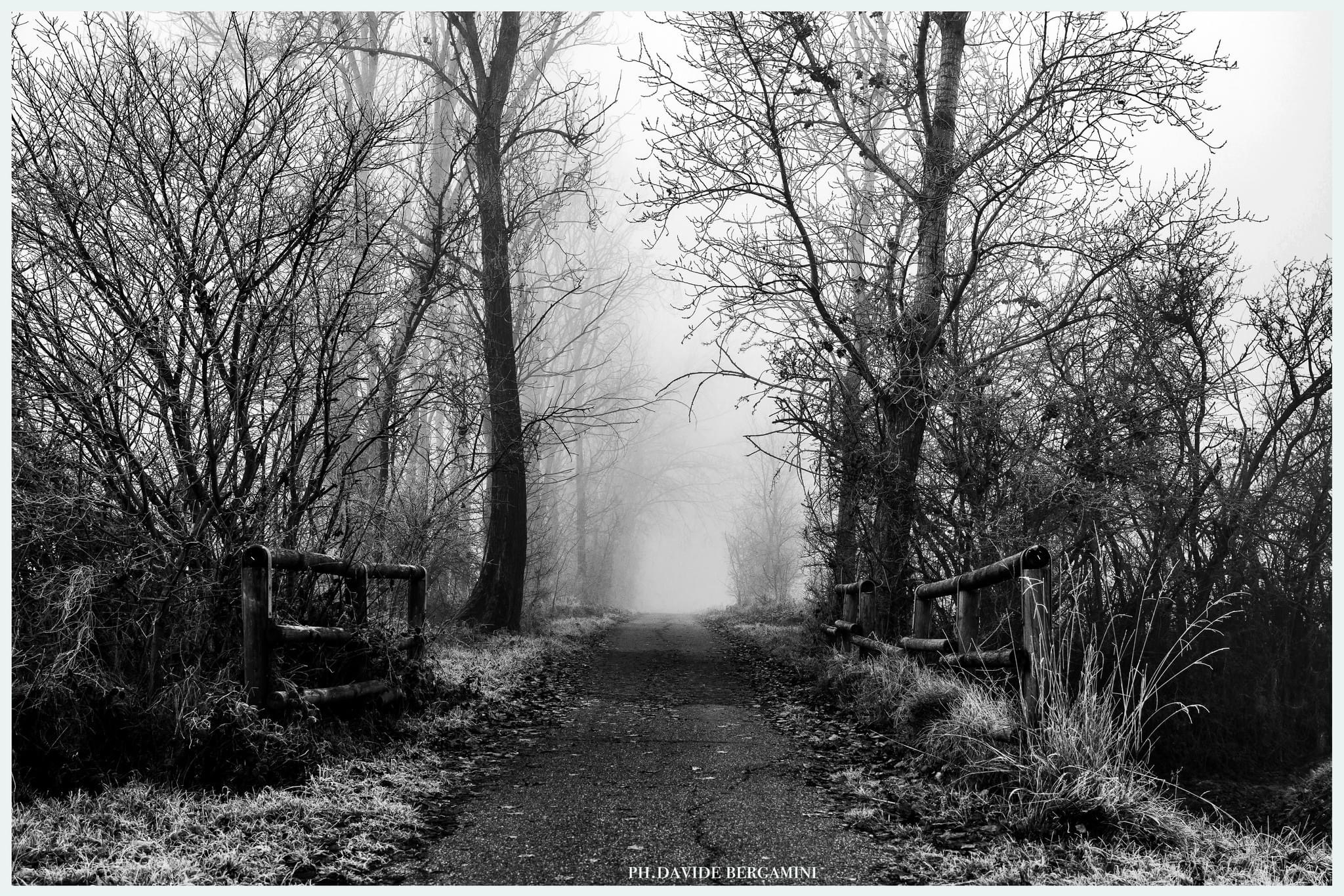 Nebbia in val padana