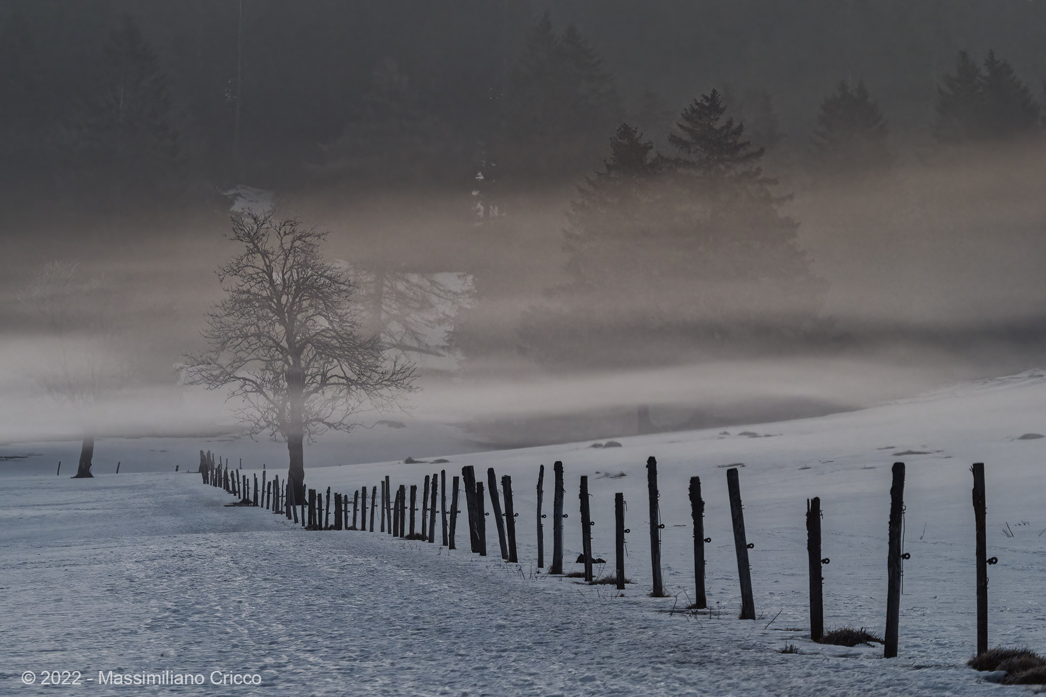 Alba ai margini della foresta - Bullet - Svizzera