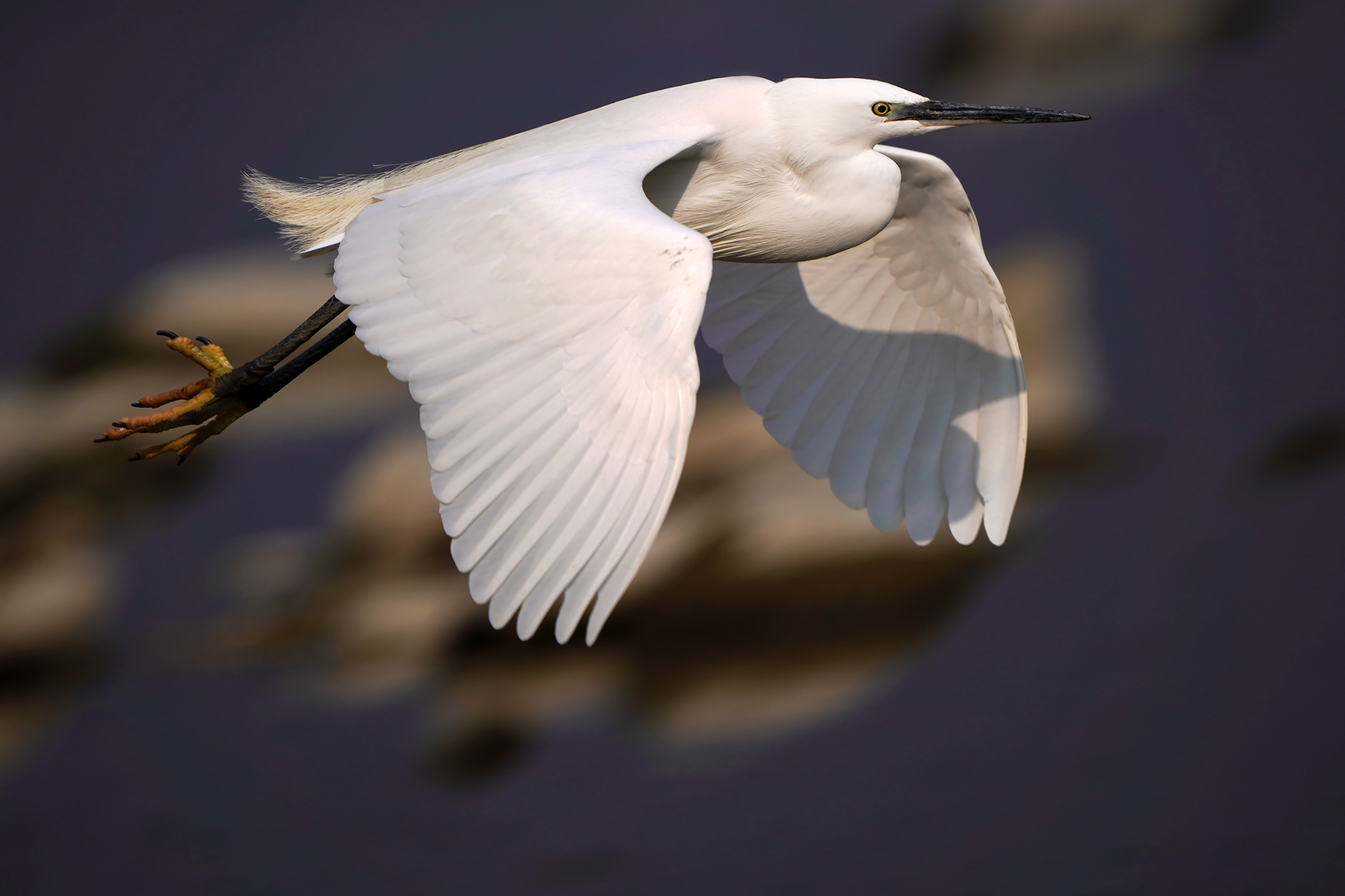 in flight