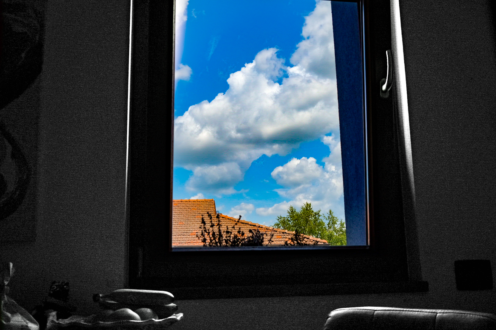 window