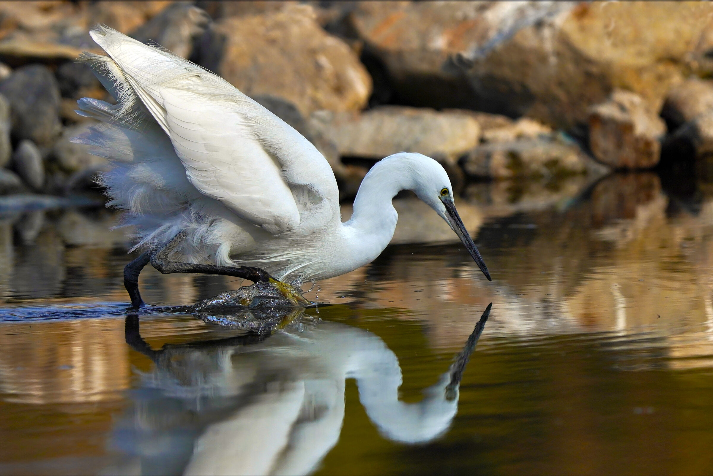 fishing