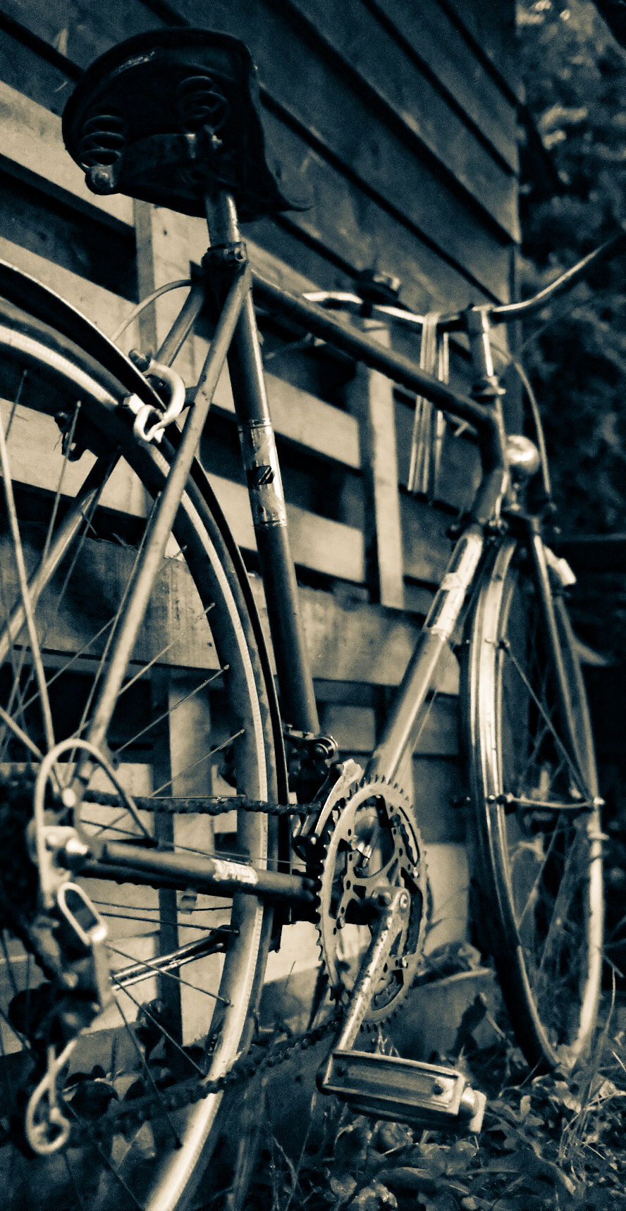 Bicicletta