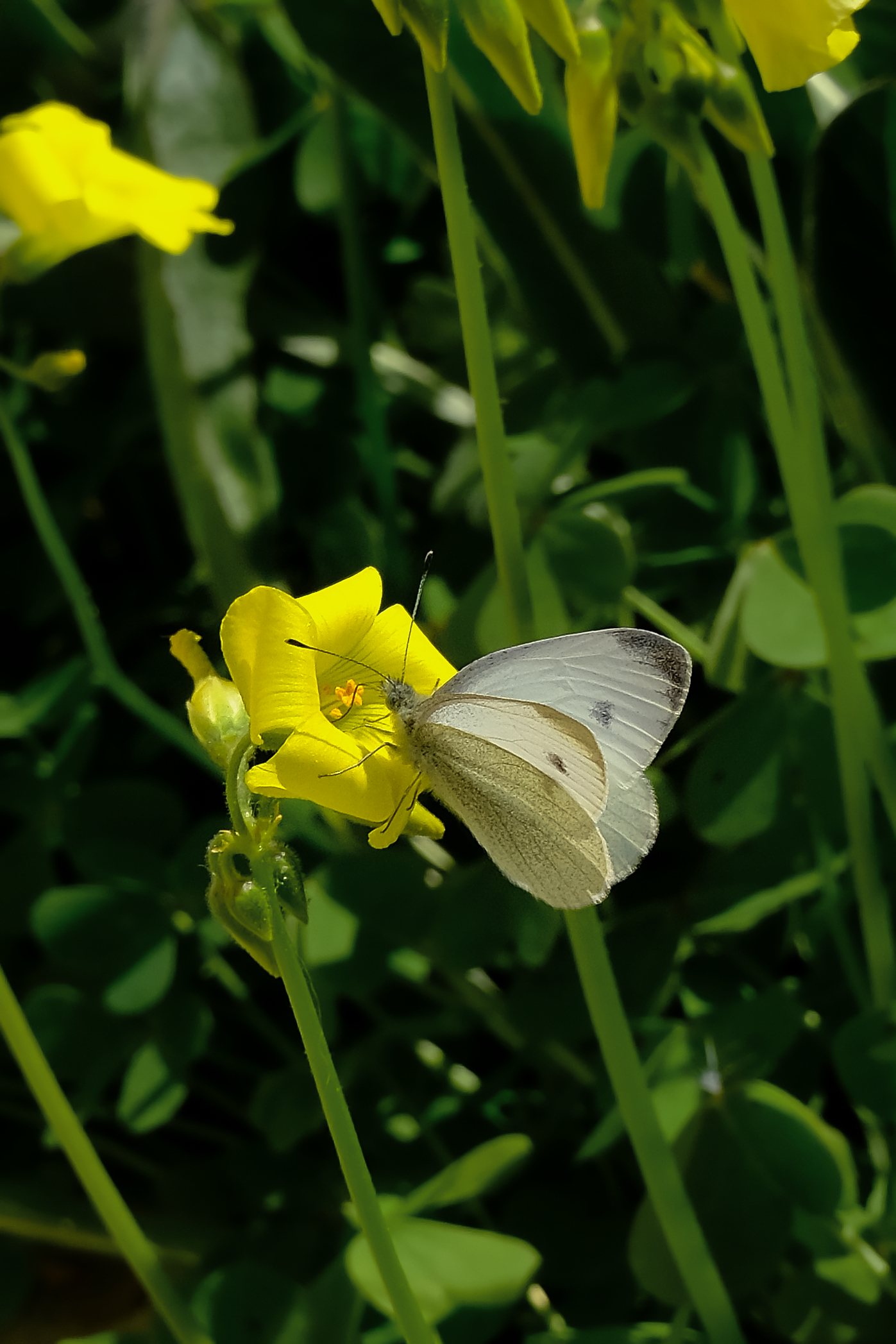 ... and we make wars!!!