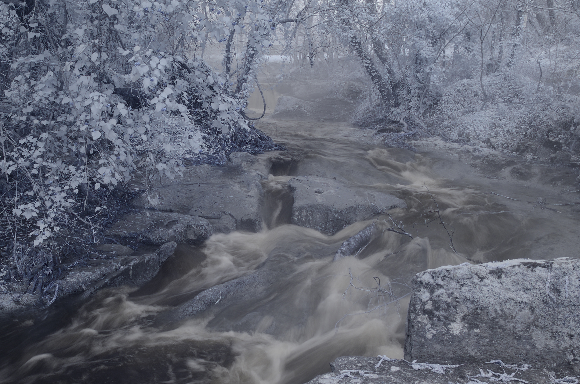 Cascate di Monte Gelato IR