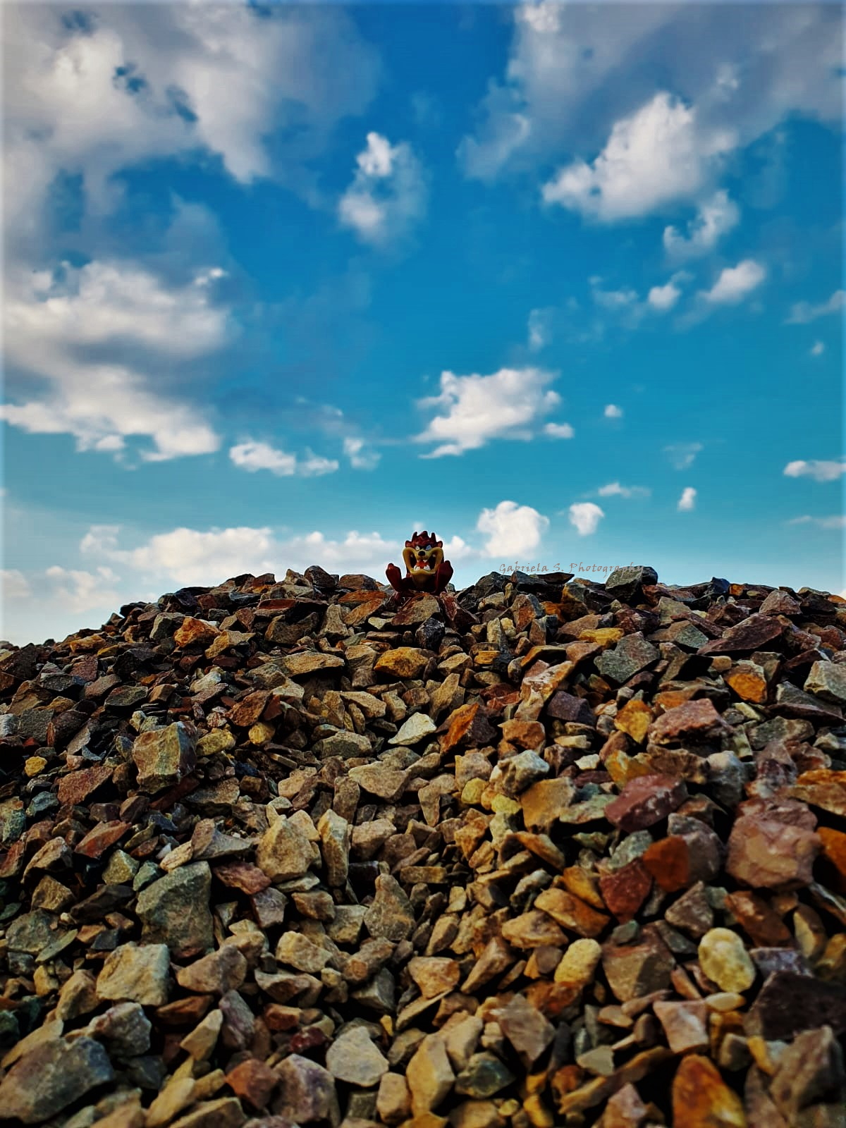 Diavolo della Tasmania