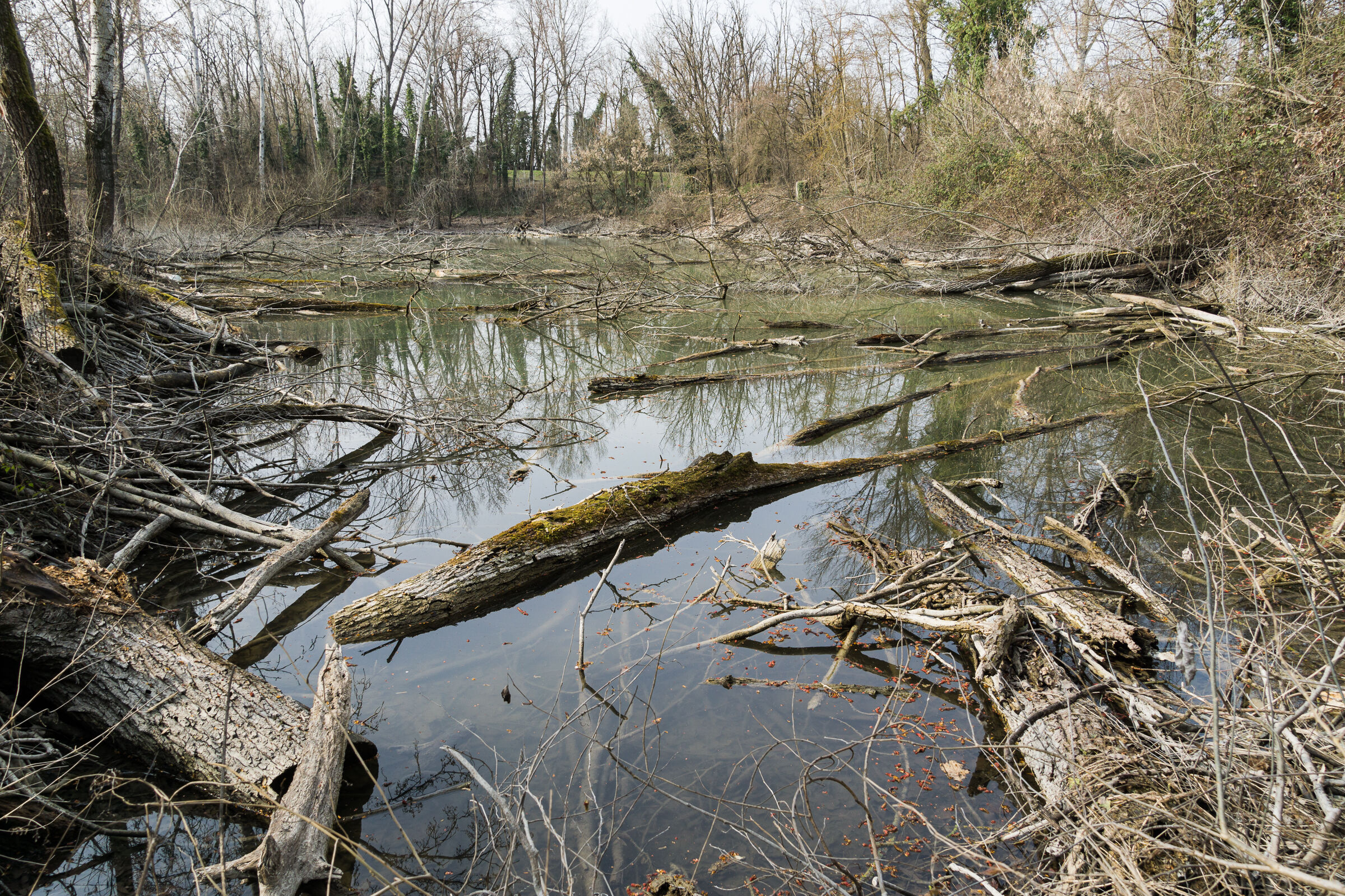 Marsh park,Lungavilla(PV)