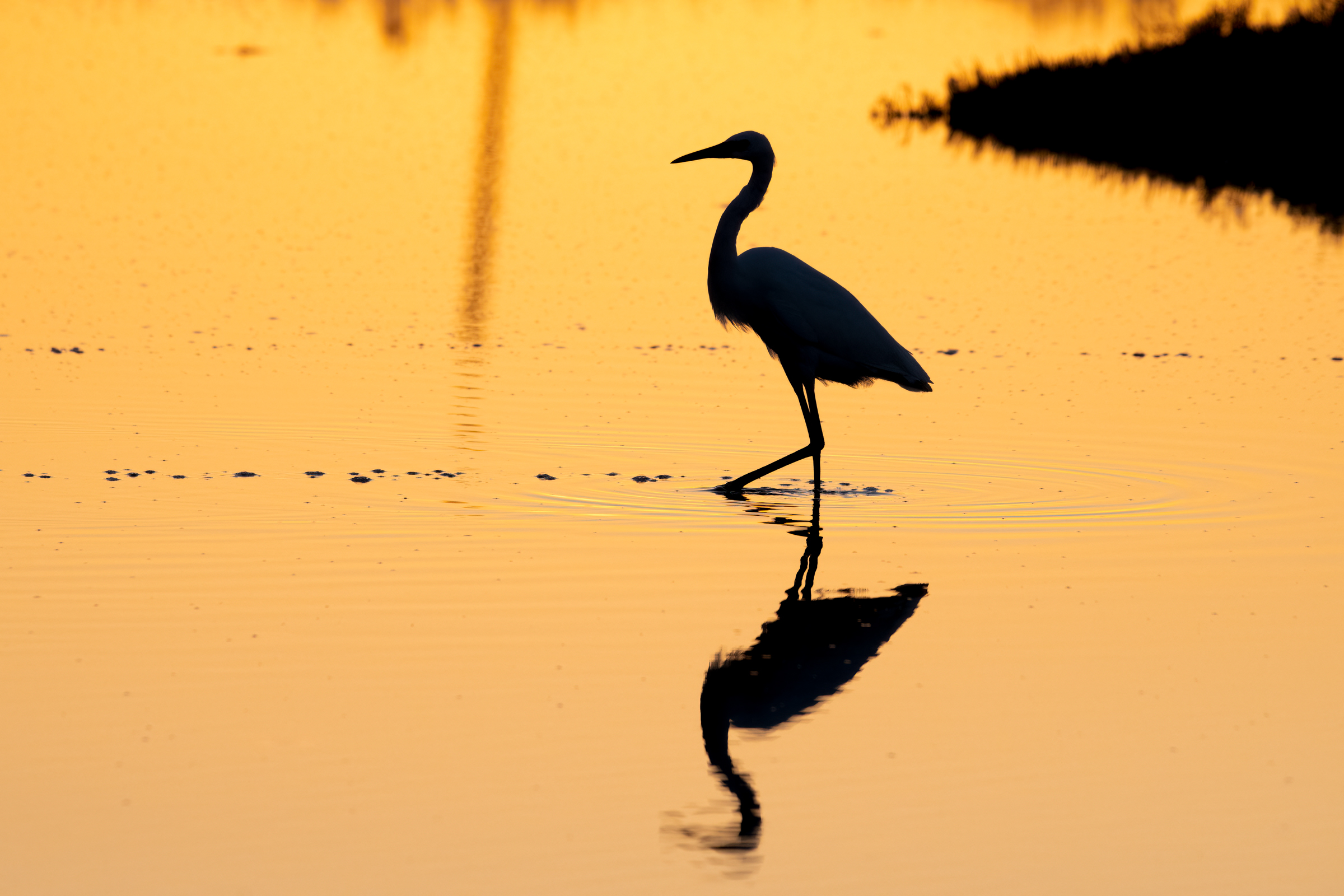ombre al tramonto...
