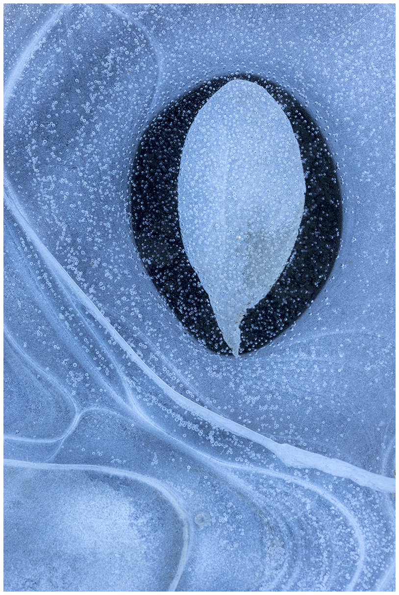 the shapes of the ice