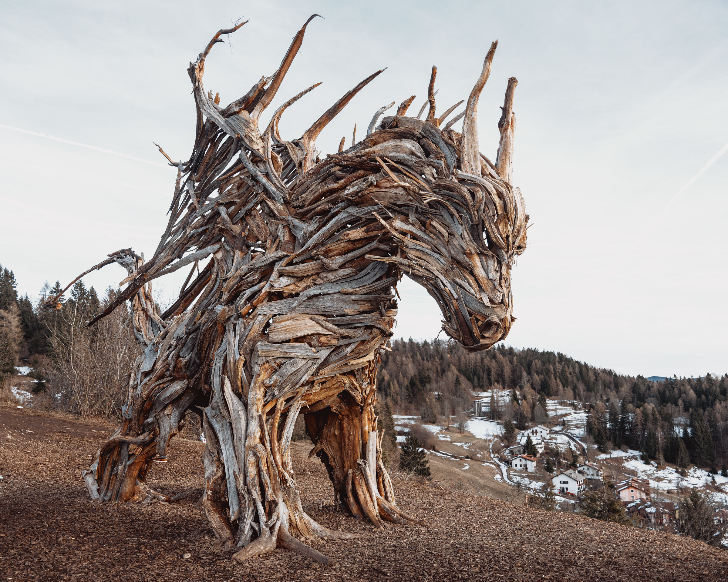 Il Drago Alato di Vaia